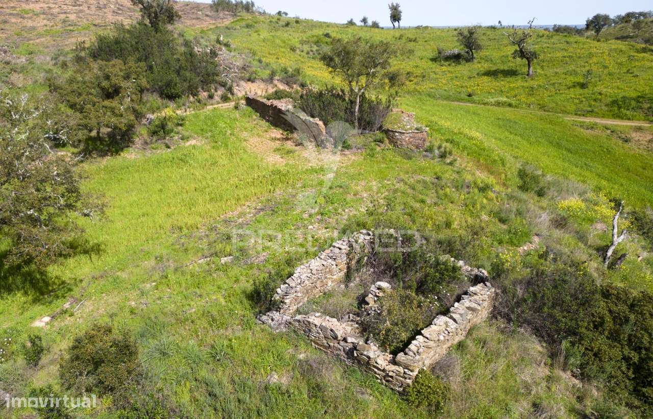Quinta com Ruína em Corte Malhão, São Martinho das Amoreiras - Grande imagem: 4/22
