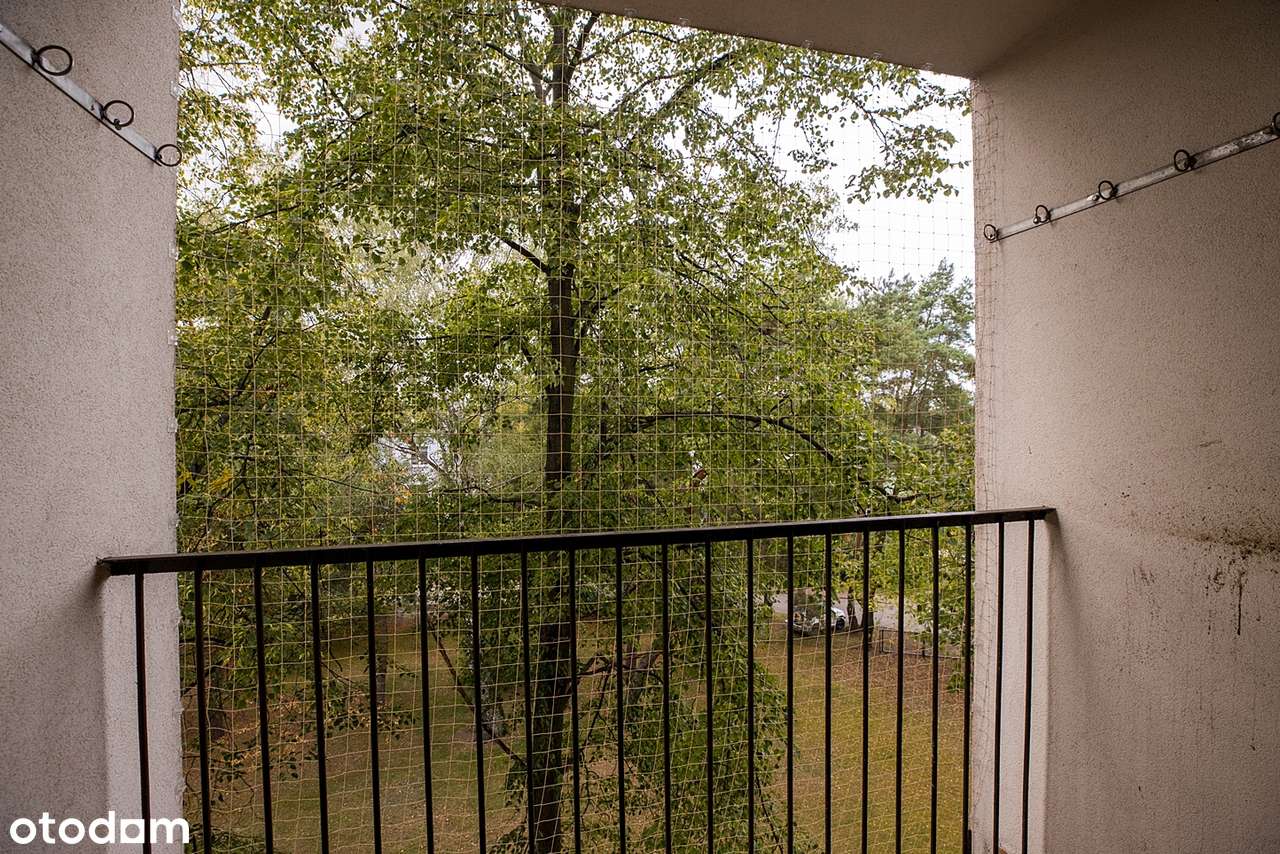 2/3 POKOJE|DO REMONTU|DO NEGOCJACJI|ZAPROPONUJ SWOJĄ CENĘ|-11