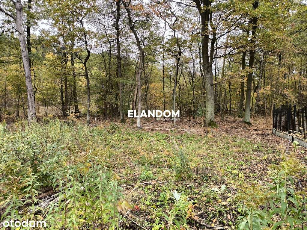 Działka w otulinie lasu - Stara Miłosna - Pełny obrazek: 3/6