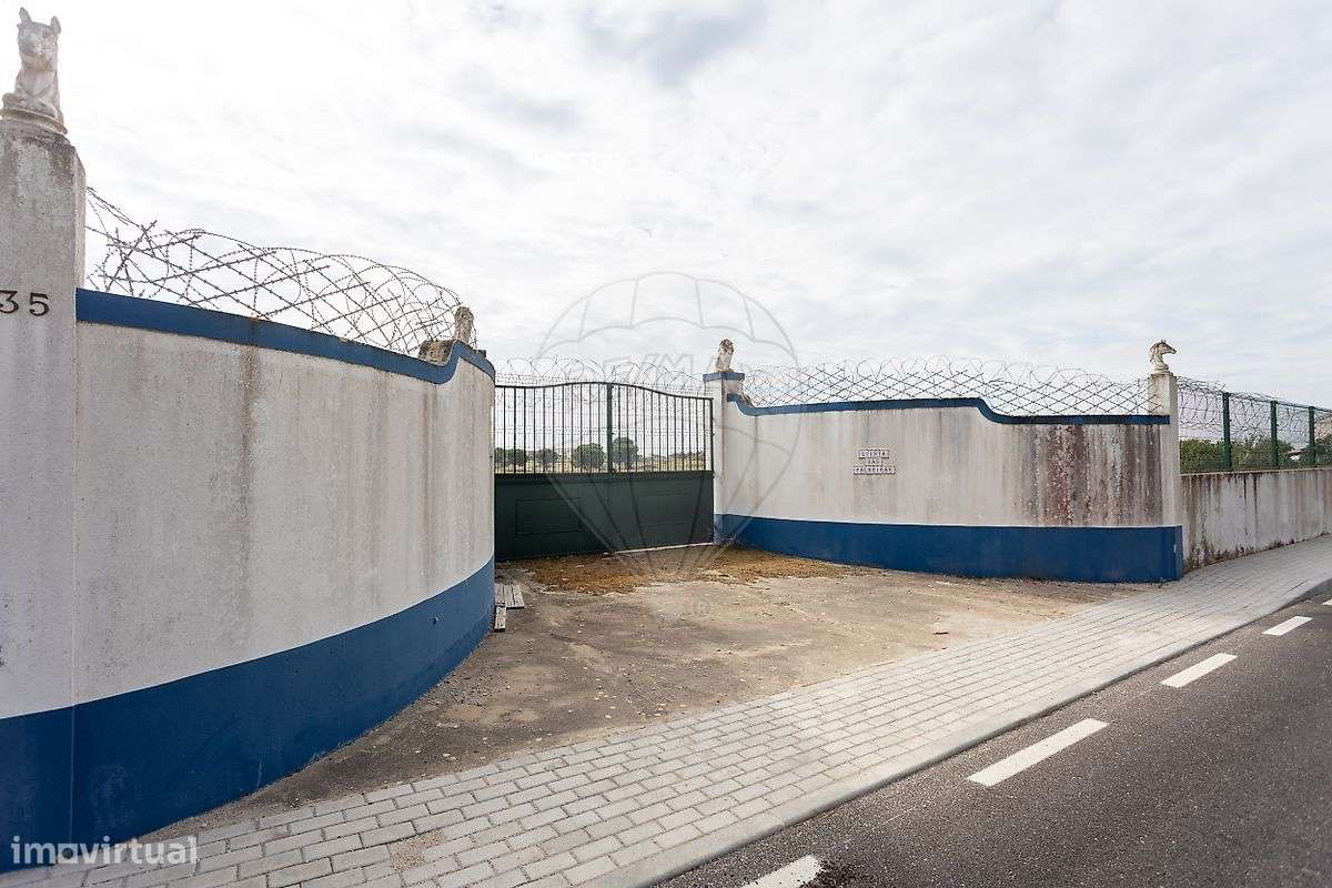 Terreno  para venda - Grande imagem: 5/5