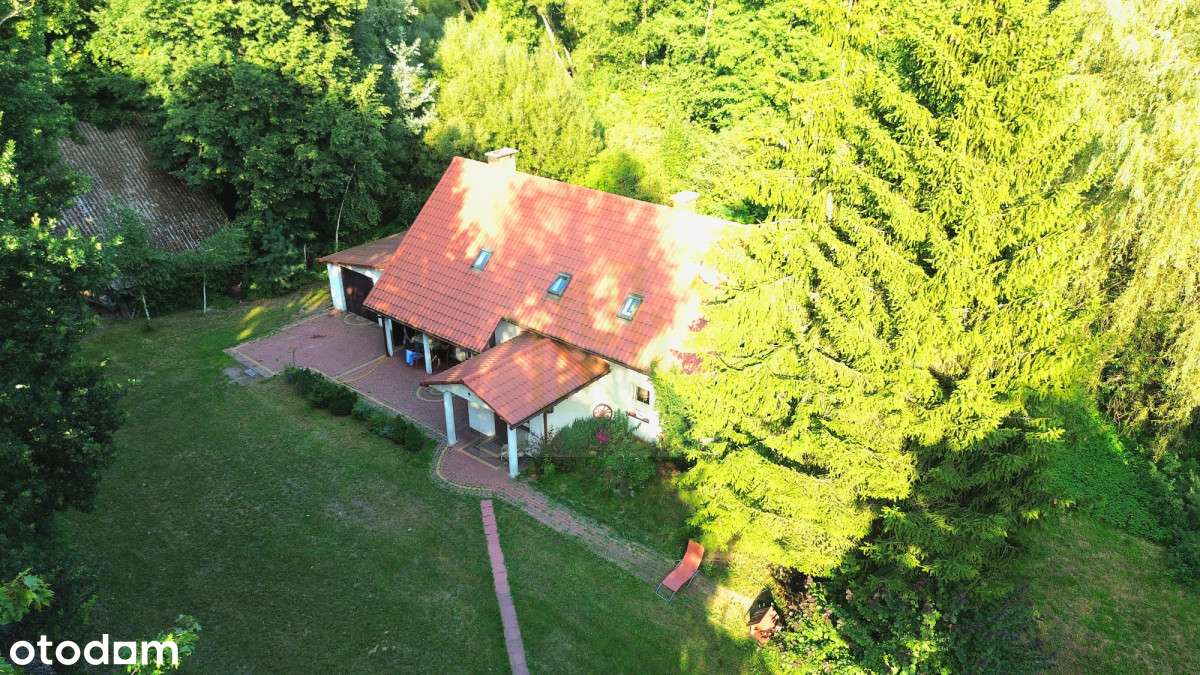 Siedlisko 30 min. od Warszawy,działka 33 000m2-1