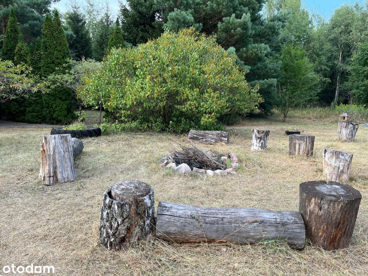 Działka 1,4 ha, GZIN, gmina Dąbrowa Chełmińska-9