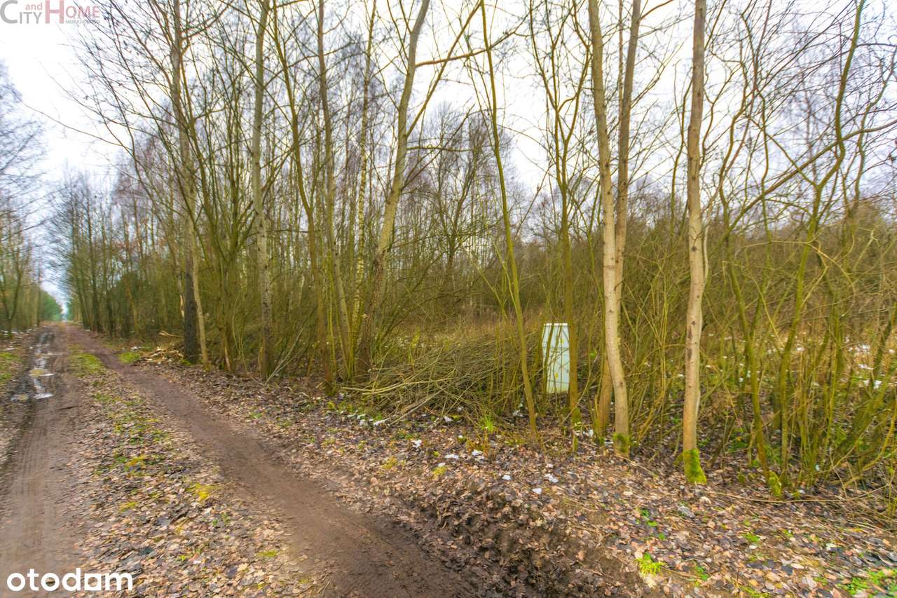 Działka, 1100.0 m², Kamionka-3