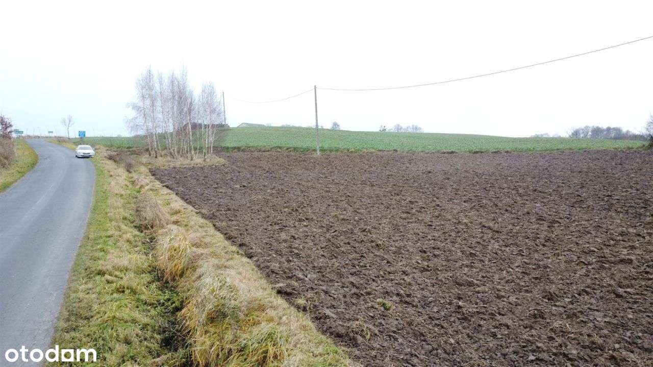 Działka w pobliżu jeziora - Łapinóżek-8