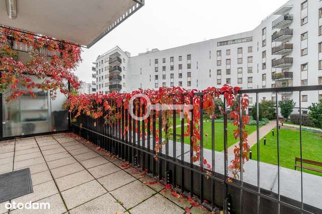 Świetna lokalizacja | Możliwość umeblowania - Pełny obrazek: 4/11