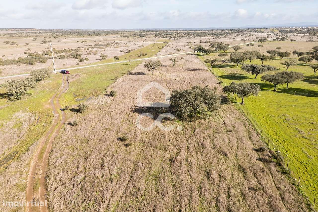 Terreno de 5,4 ha c/ Viabilidade de Construção | Capelins, Alandroal-48