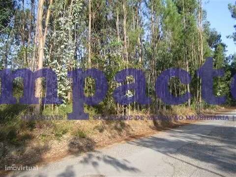 Terreno em Pigeiros, Santa Maria da Feira - Grande imagem: 5/8