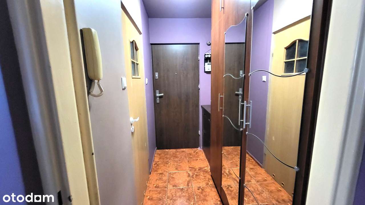 M3 Dąbrowa! Parter! Bez prowizji!-6