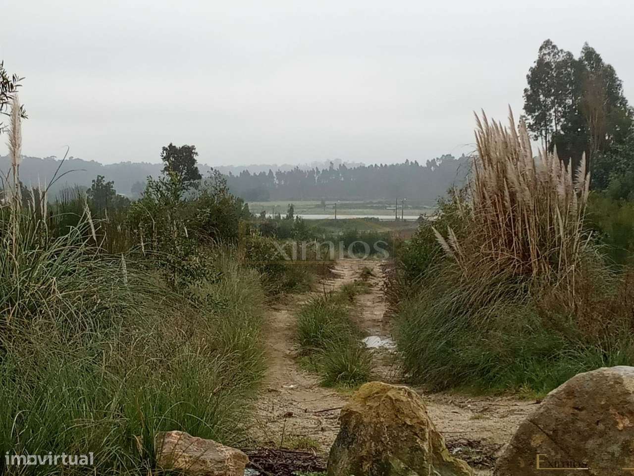 Terreno em Aveleda - Grande imagem: 3/4