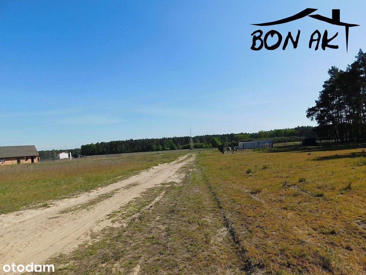 Dzialka budowlana w otulinie lasu - Pełny obrazek: 4/10