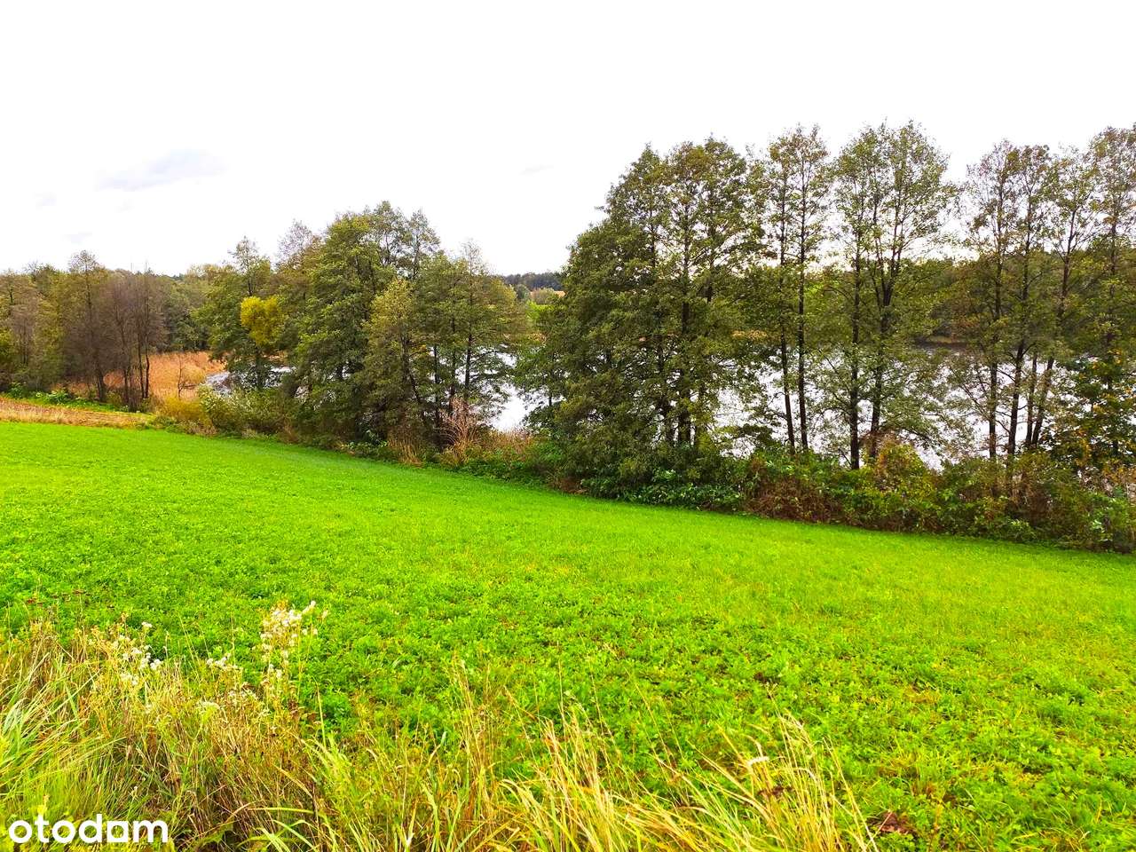 Działka z linią brzegową jeziora (60 m) i pozwoleniem na budowę. - Pełny obrazek: 4/13