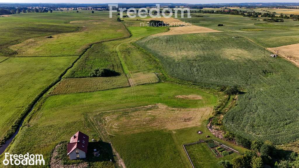 Działka na Mazurach - Wólka Ryńska - Pełny obrazek: 5/7