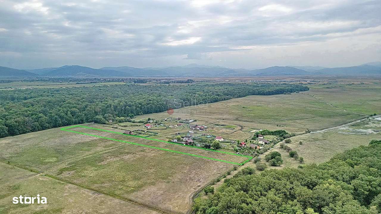 Teren Extravilan - Imagine principală: 2/20