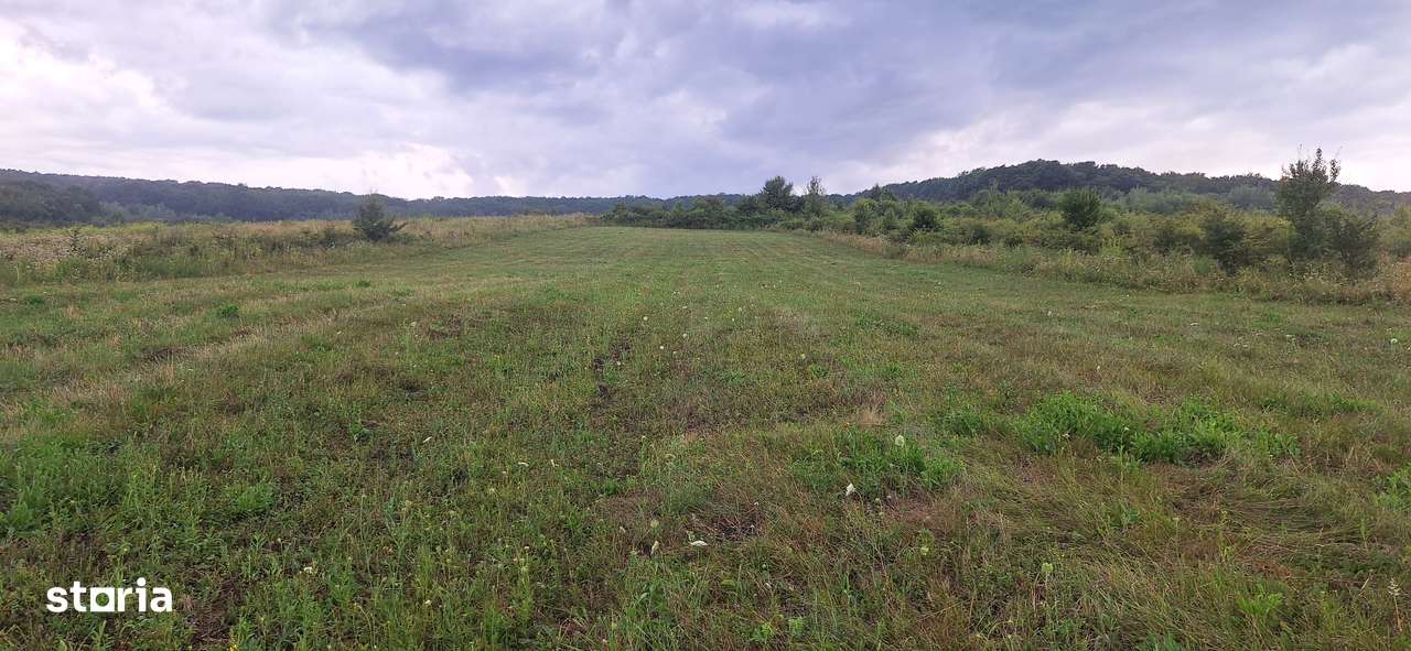 Teren intravilan 1500mp - Bozeni - Liniște și comunitate prietenoasă - Imagine principală: 4/5