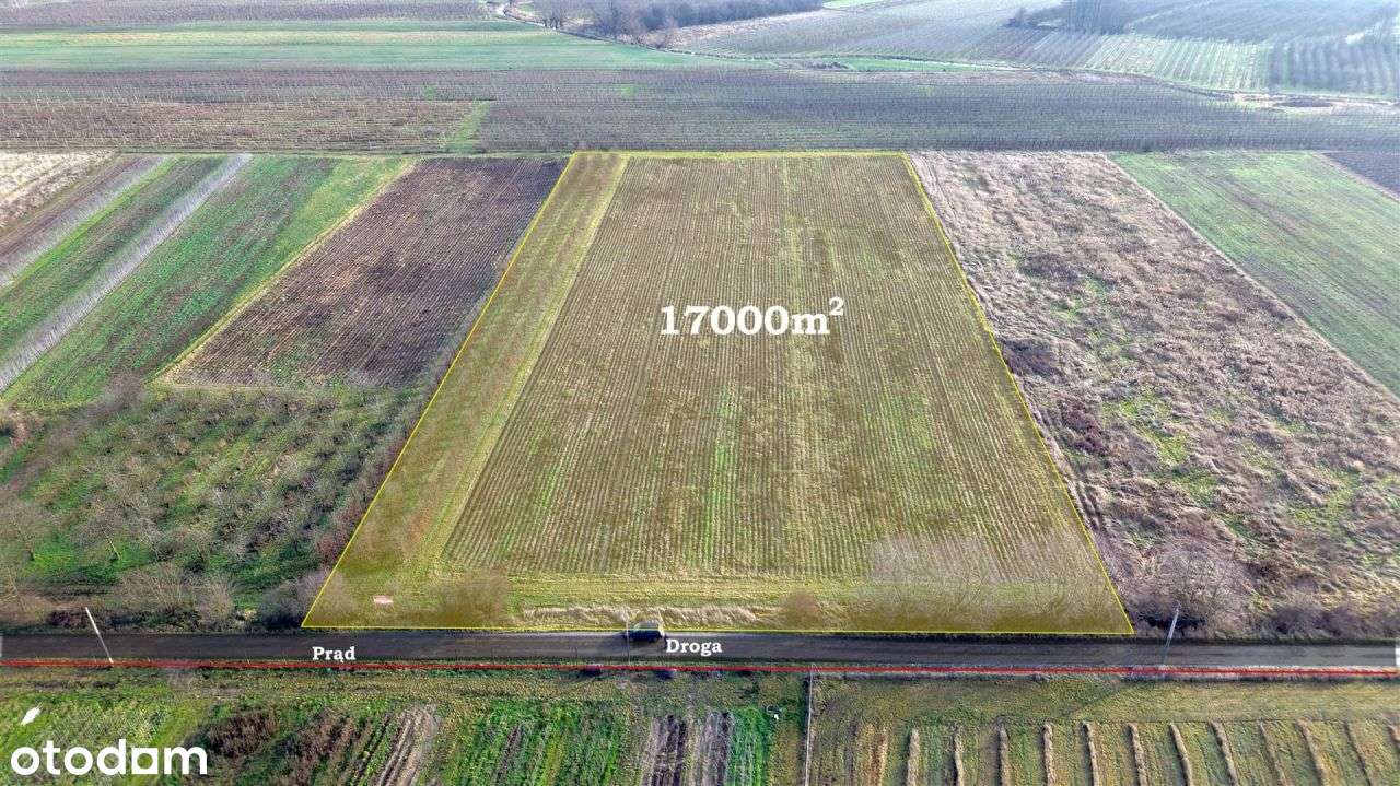 Działka rolna 1,7 ha, Czersk, gm. Góra Kalwaria-0