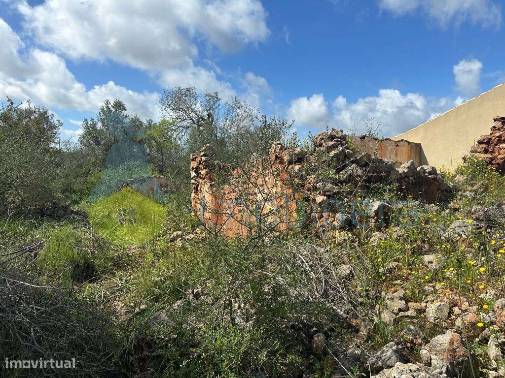 Terreno Plano com 12.0400m2 com Ruína á venda no Barrocal - Grande imagem: 3/7