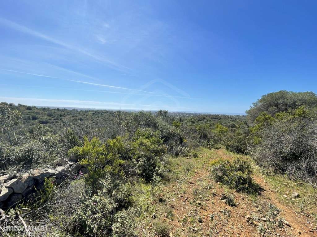 Terreno Rústico com 4840 m2 em Paderne - Albufeira, Algarve - Grande imagem: 4/7
