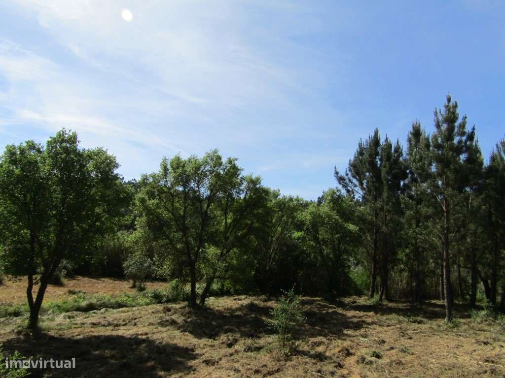 P26-238 Casal da Loba - Terreno Urbanizável no Centro de Portugal e...-16