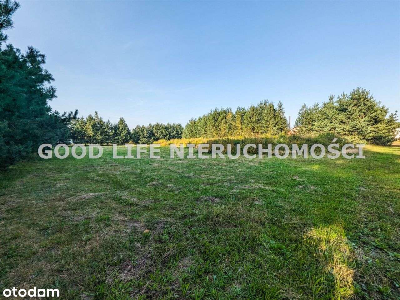 Hala 2000 m2 działka 3,63 ha przy lotnisku - Pełny obrazek: 5/14