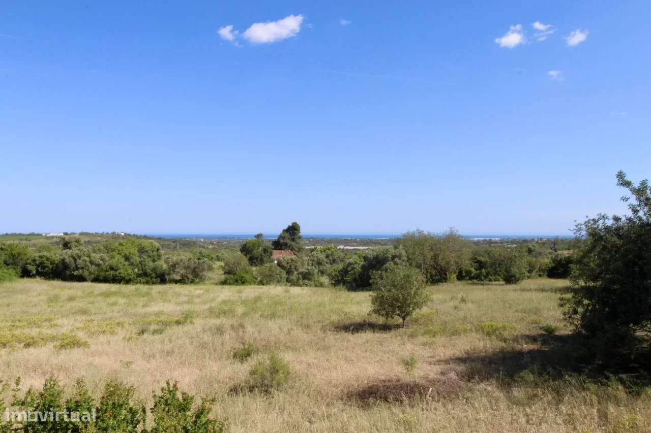 Refúgio Algarvio, Conforto e Privacidade no Campo - Grande imagem: 5/35