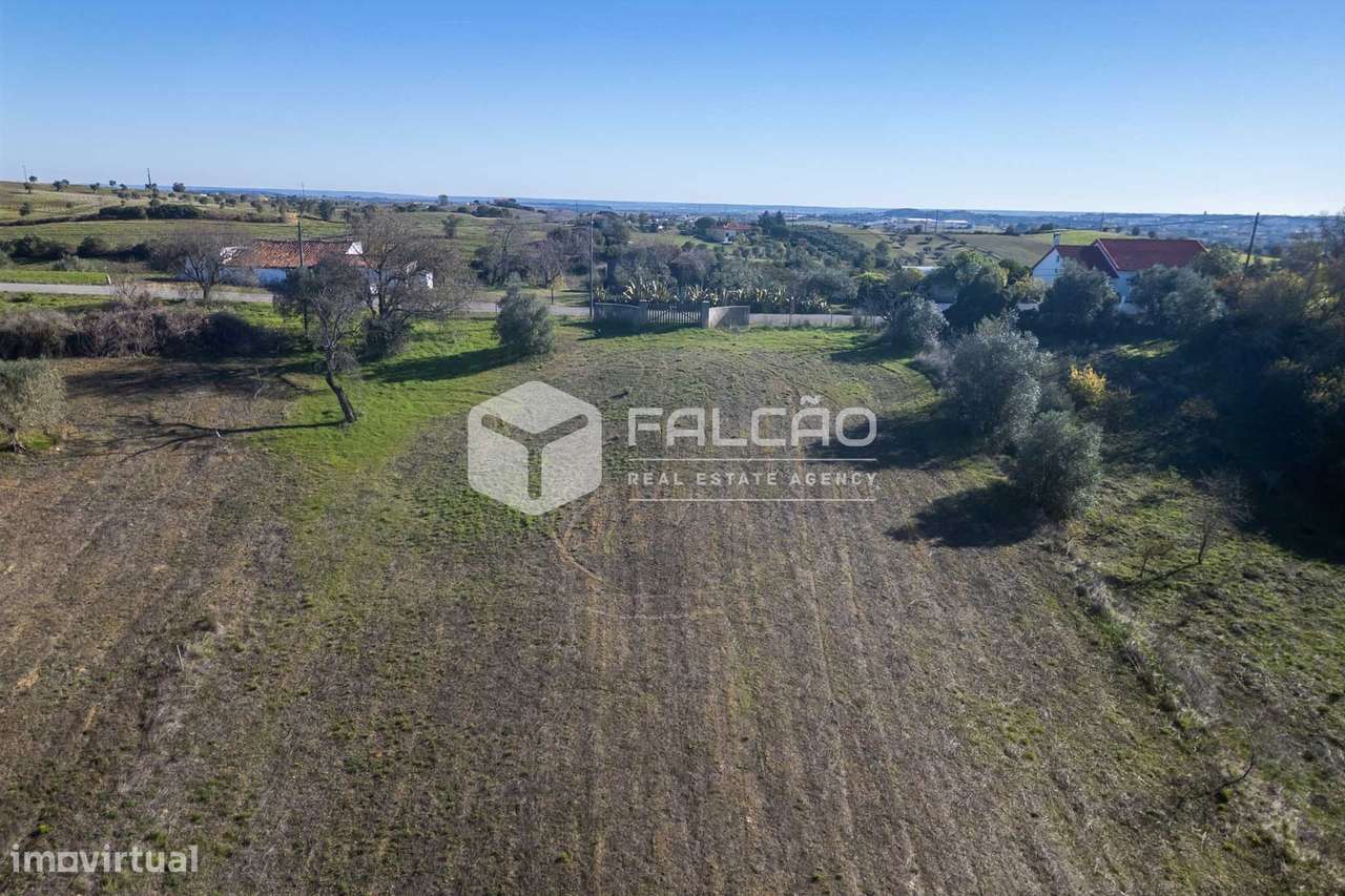 Terreno Para Construção  Venda em Moçarria,Santarém-12