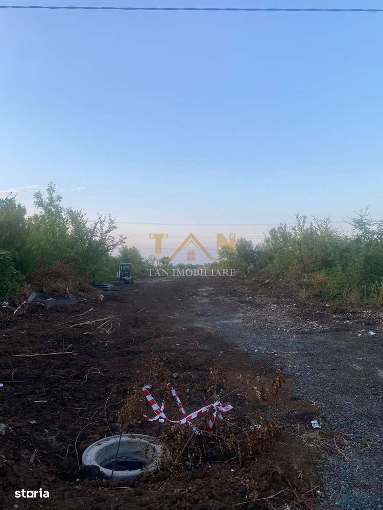 Teren Intravilan Dumbrăvița ,pretabil Duplex - Imagine principală: 4/8