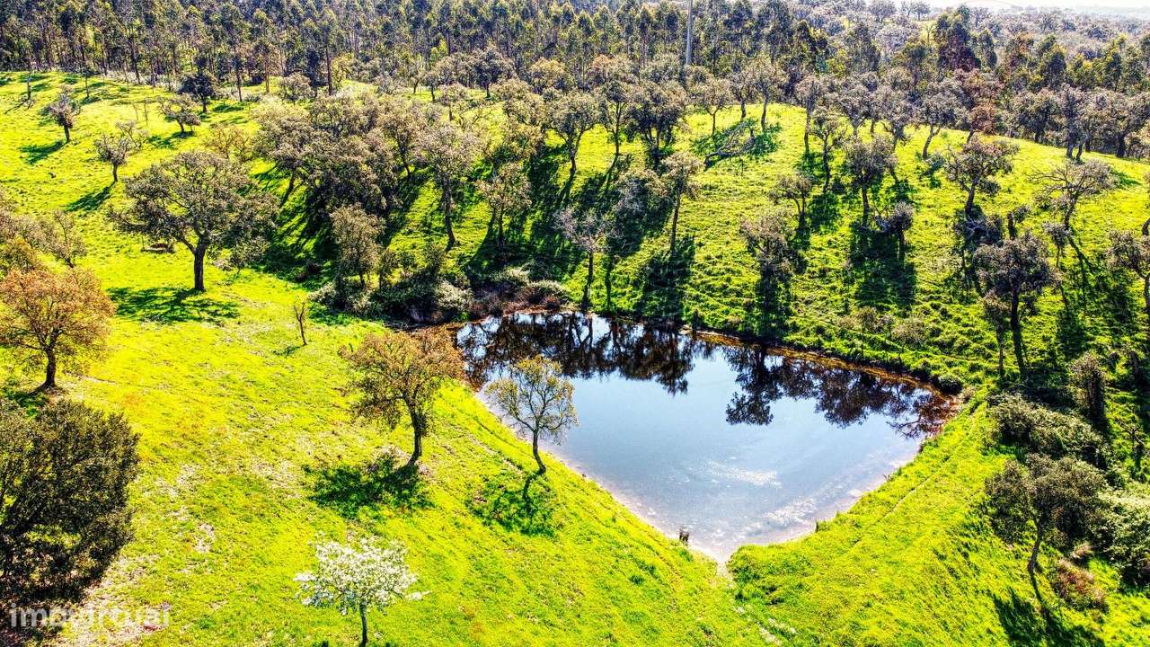 TERRENO EM S.BARTOLOMEU DA SERRA-1