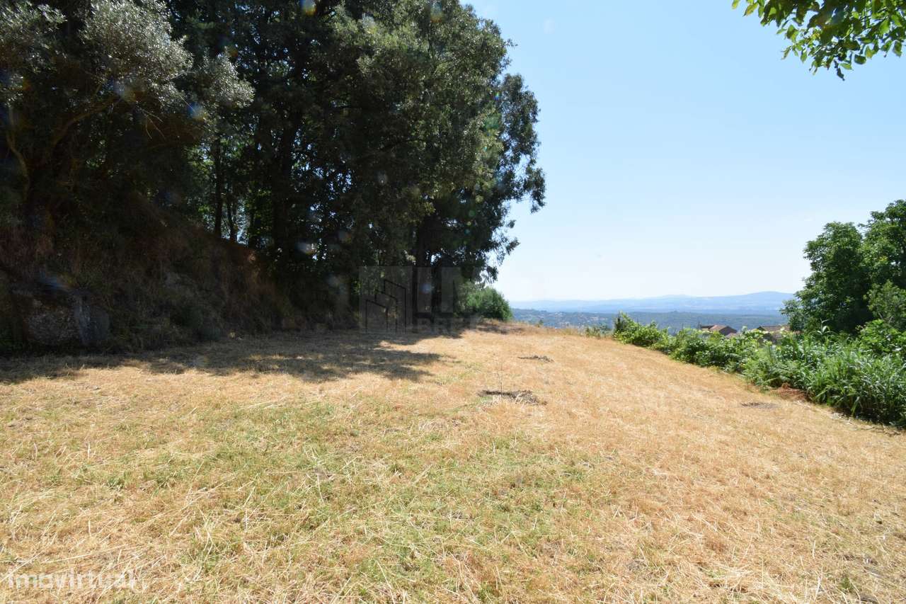 Terreno com 4.522 m² e Viabilidade de Construção - Vila do Carvalho-26