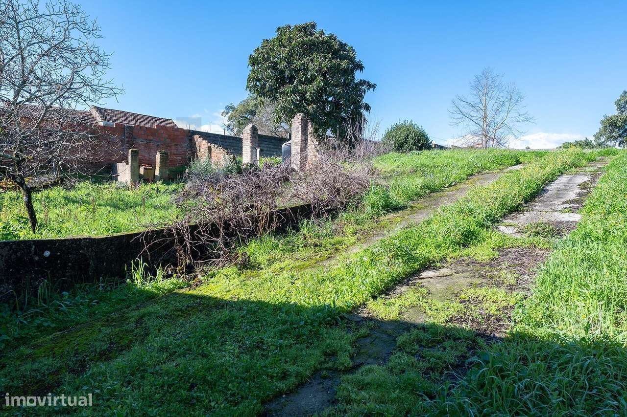Moradia T10 com Terreno (ÁREA TOTAL 1143m2)  – Arneiro das Milhariças-37