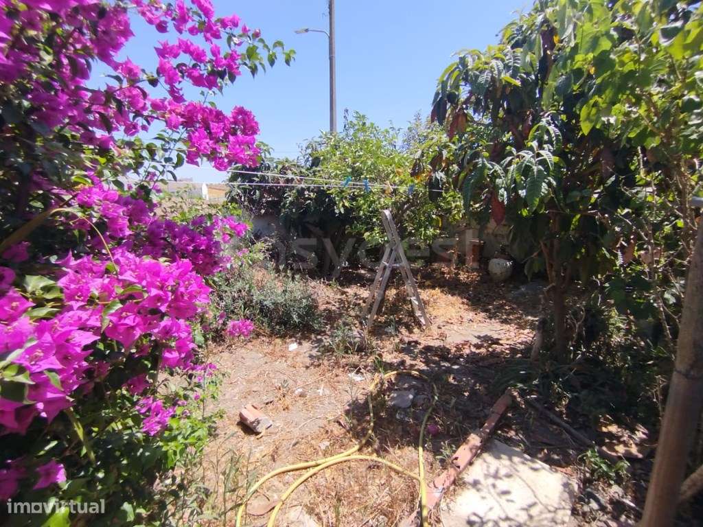 Moradia com 3 quartos e Logradouro localizada em Albernoa, Beja - Grande imagem: 3/14