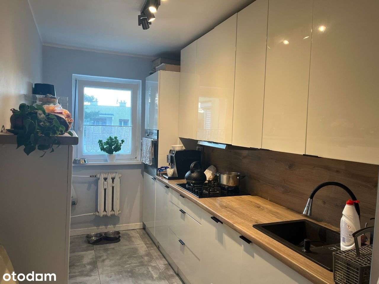 SŁONECZNE, 3-pokojowe, Leszno - Rejtana - Pełny obrazek: 4/9