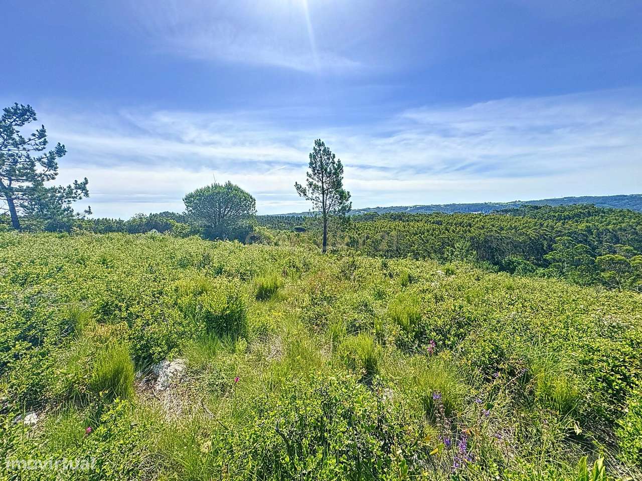 TERRENO - CONECTADO COM A NATUREZA - PRÓXIMO DO MAR - Grande imagem: 2/18