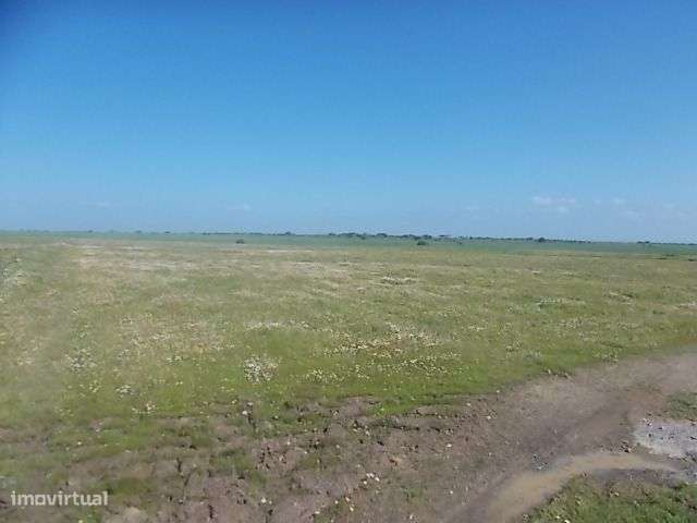 Terreno Agrícola viabilidade construção 5,15ha - Grande imagem: 4/8