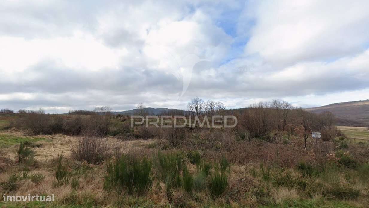 Terreno Rústico Montalegre - Grande imagem: 2/2