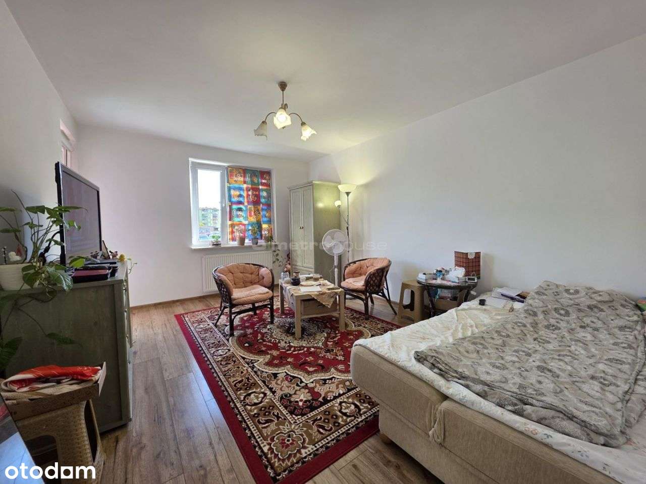 Mieszkanie na parterze - 43m2 - 2 pok - Tessaro - Pełny obrazek: 2/11