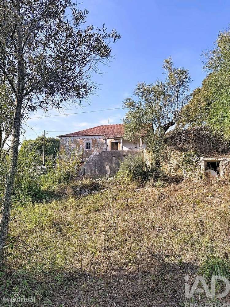 Casa de Campo em Alvados e Alcaria - Grande imagem: 3/18