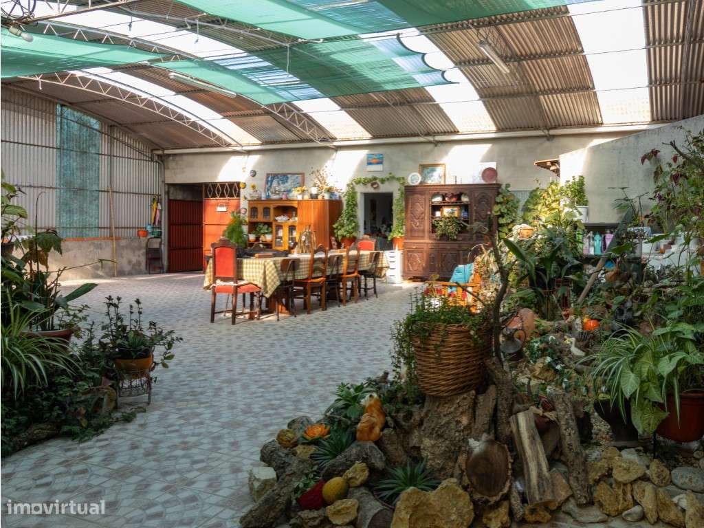 Moradia T3 Térrea - Grande imagem: 3/13