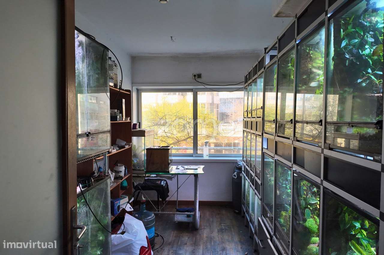 Trespasse de Loja na Maia – Excelente Oportunidade - Grande imagem: 5/16