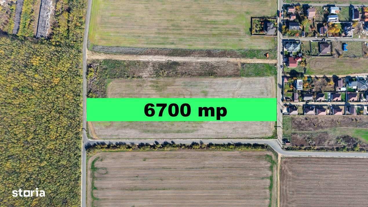 Dragomiresti Deal teren 6700 mp, padurea Ileana, utilitati, asfalt-3