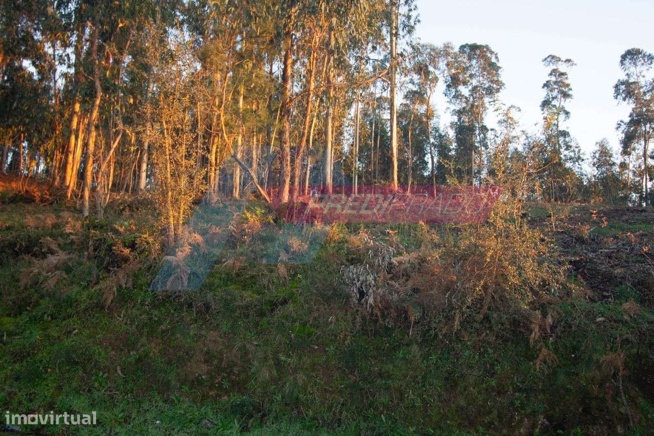 Excelente Terreno em Marrancos, Vila Verde! - Grande imagem: 4/4