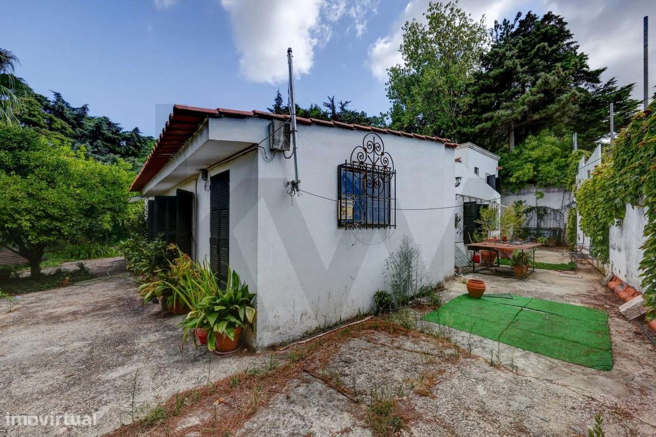 Moradia Isolada com 5000m2 de terreno rodeada de Natureza-39