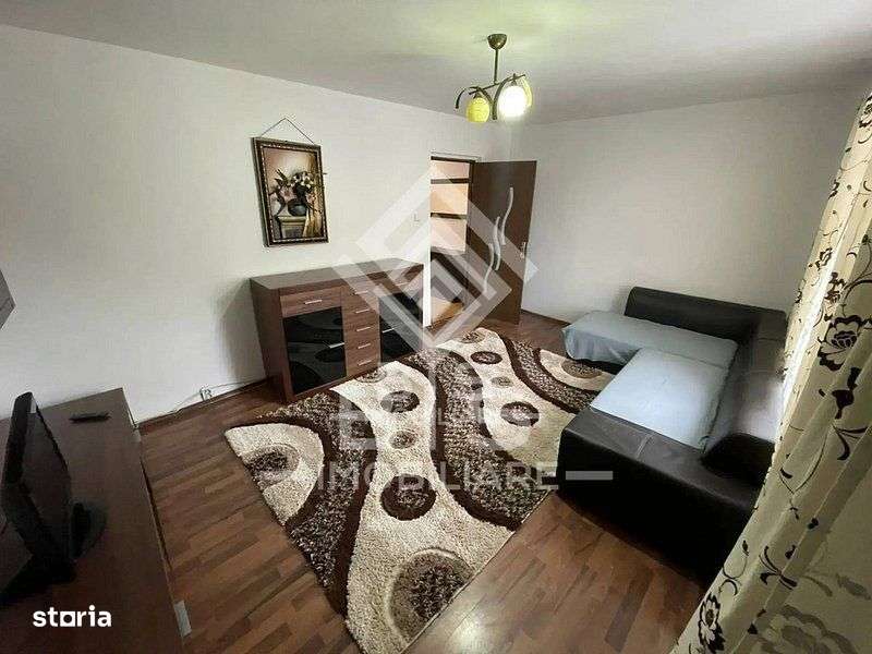 Apartament spaţios 3 camere - Bdul Independentei-14