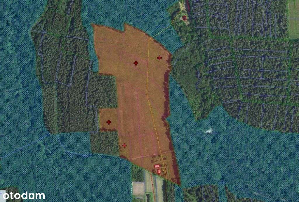 Lutcza Niebylec 9,62ha Dom 70m2 - Pełny obrazek: 5/16