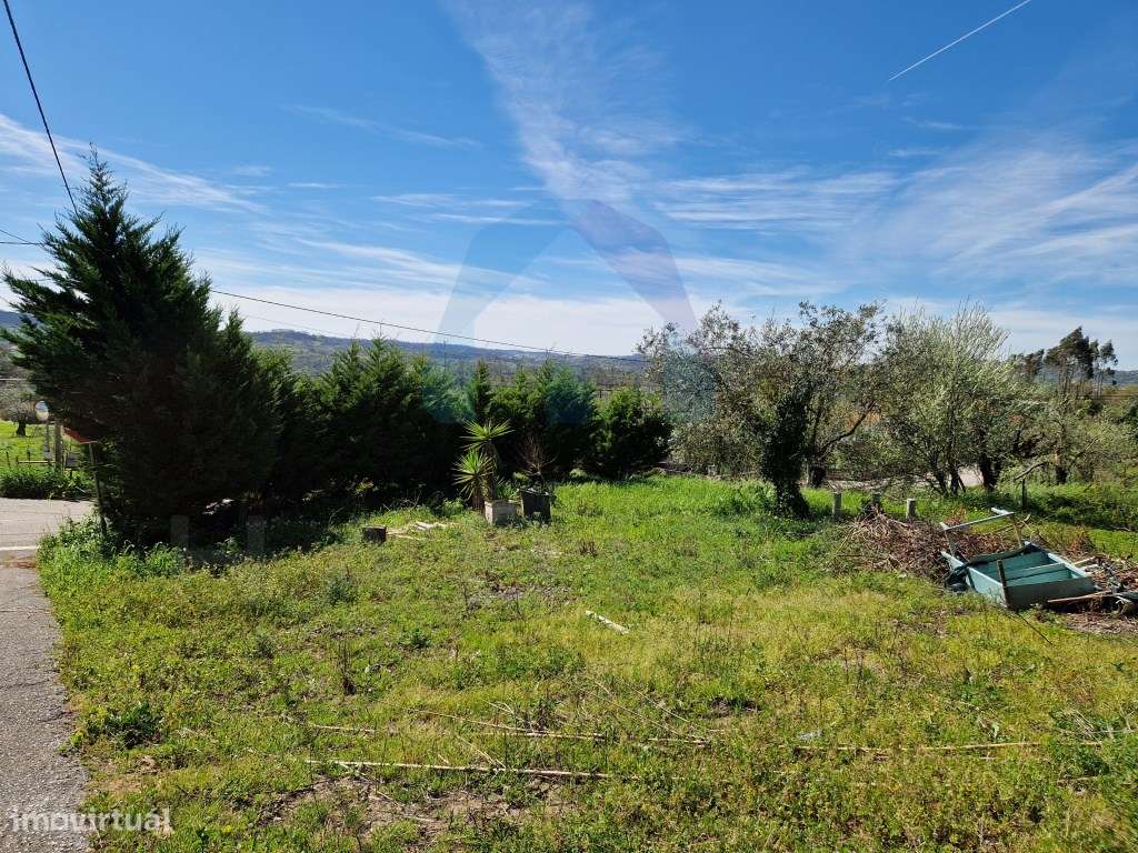 Terreno com Viabilidade de Construção - Pombal - Grande imagem: 5/5