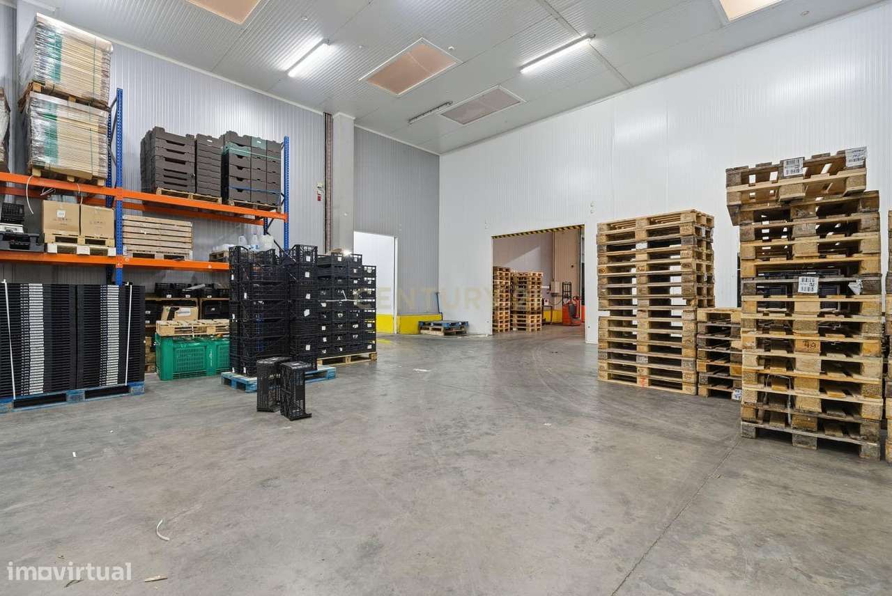Armazém Industrial junto à Campo Oeste em A-dos-Cunhados-41