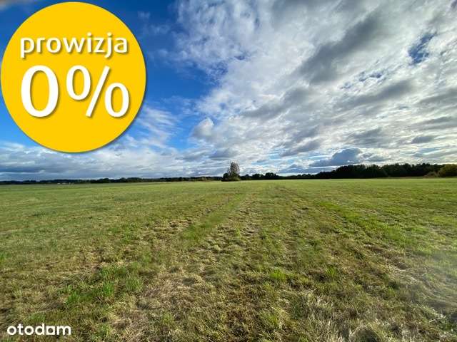 Siedlisko | 8,2 ha | Jędrzejewo k. Czarnkowa - Pełny obrazek: 3/12