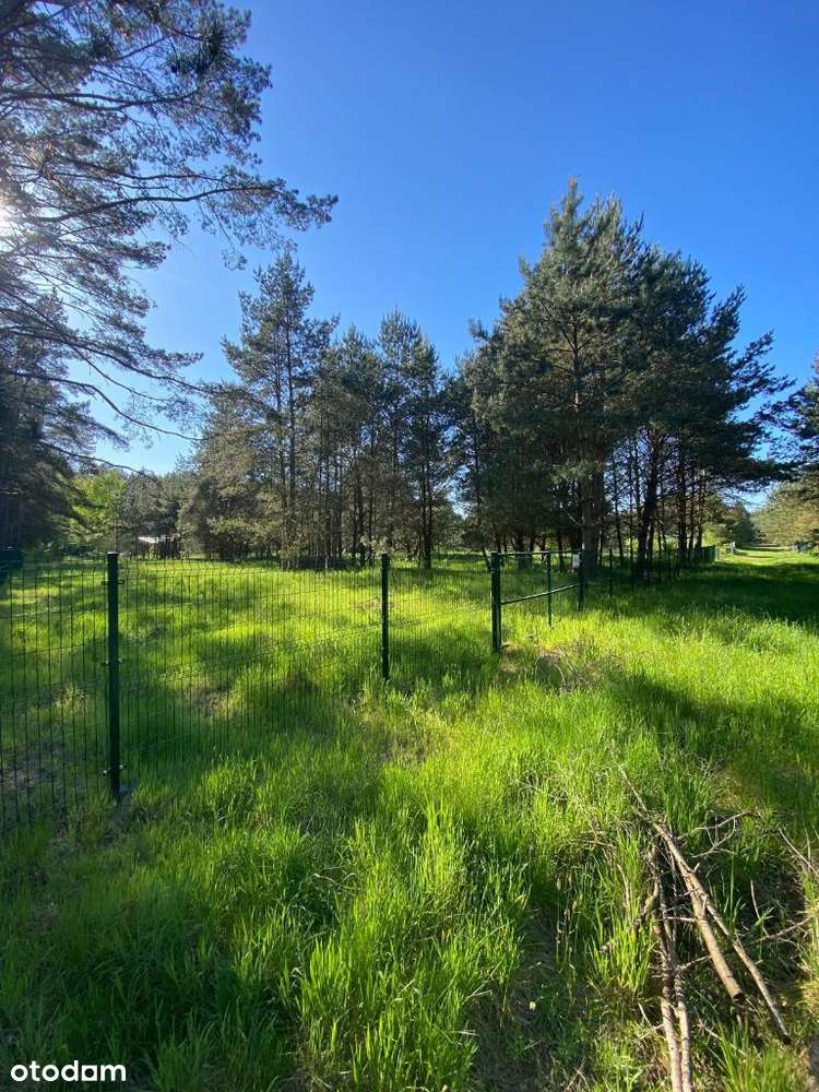 NOWA CENA!   Działka Domysłów, 5km od morza WOLIN-5