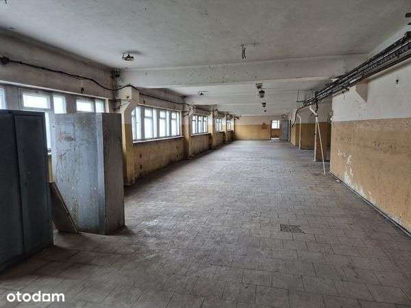 Lokal użytkowy, 5 024,50 m², Pionki-2