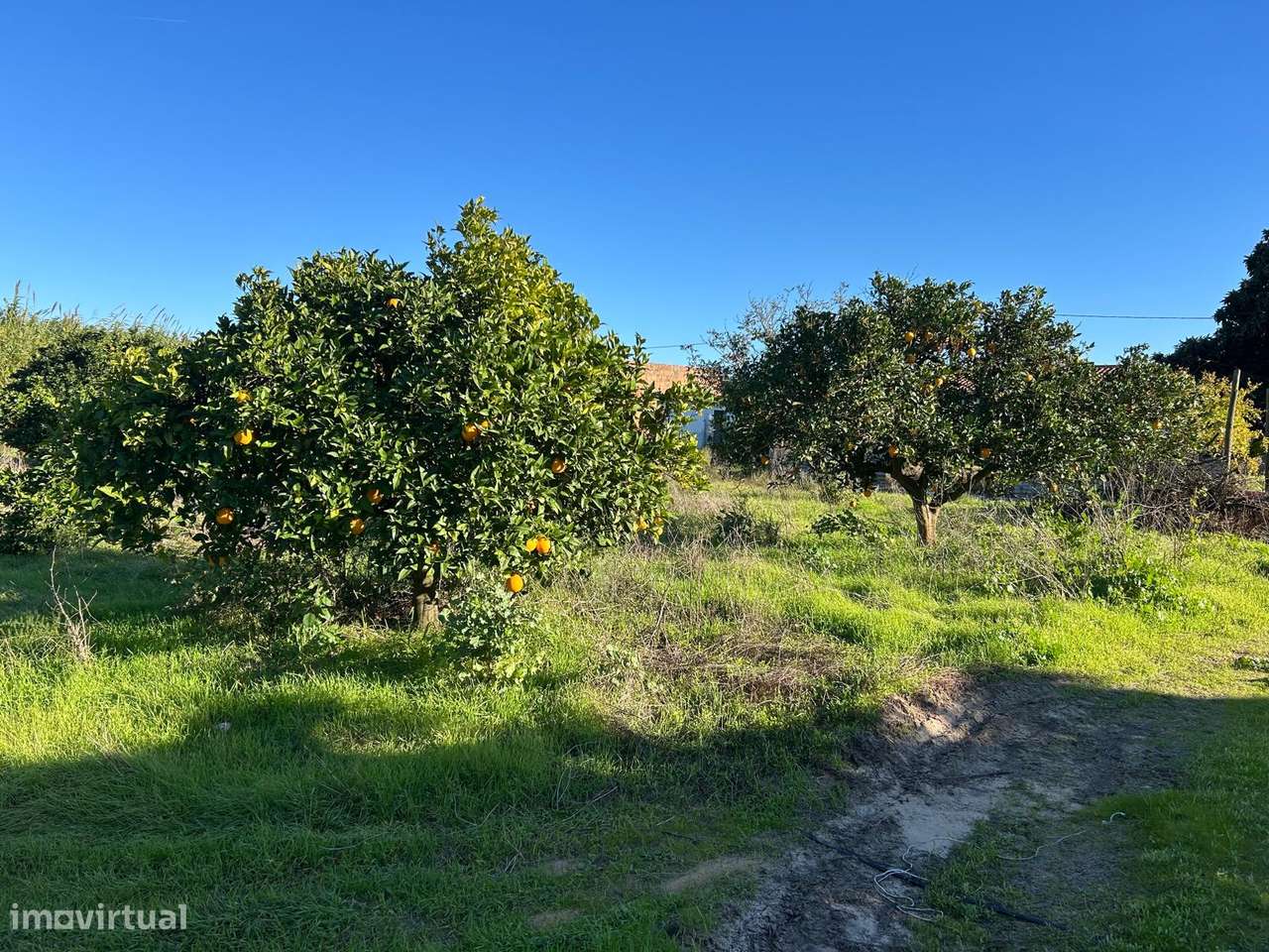 Moradia T3 - Fazendas de Almeirim - Grande imagem: 4/24