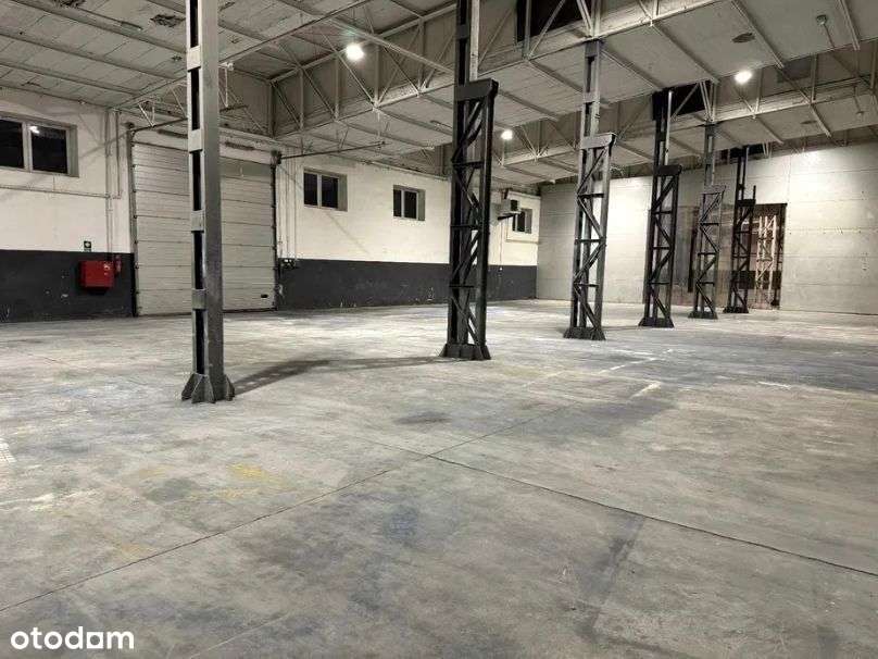 poziom 0; ogrzewana - Pełny obrazek: 1/3